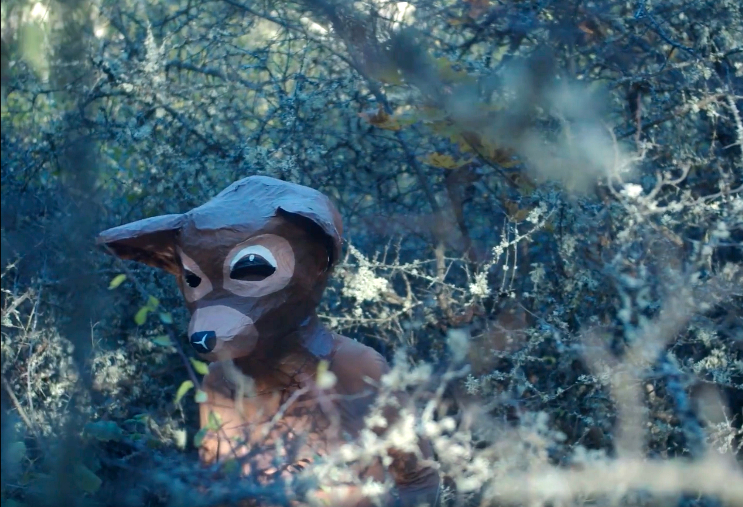 KOSMISKA ALLMÄNNINGAR